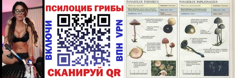 Галлюциногенные грибы ЛСД  Ейск 
